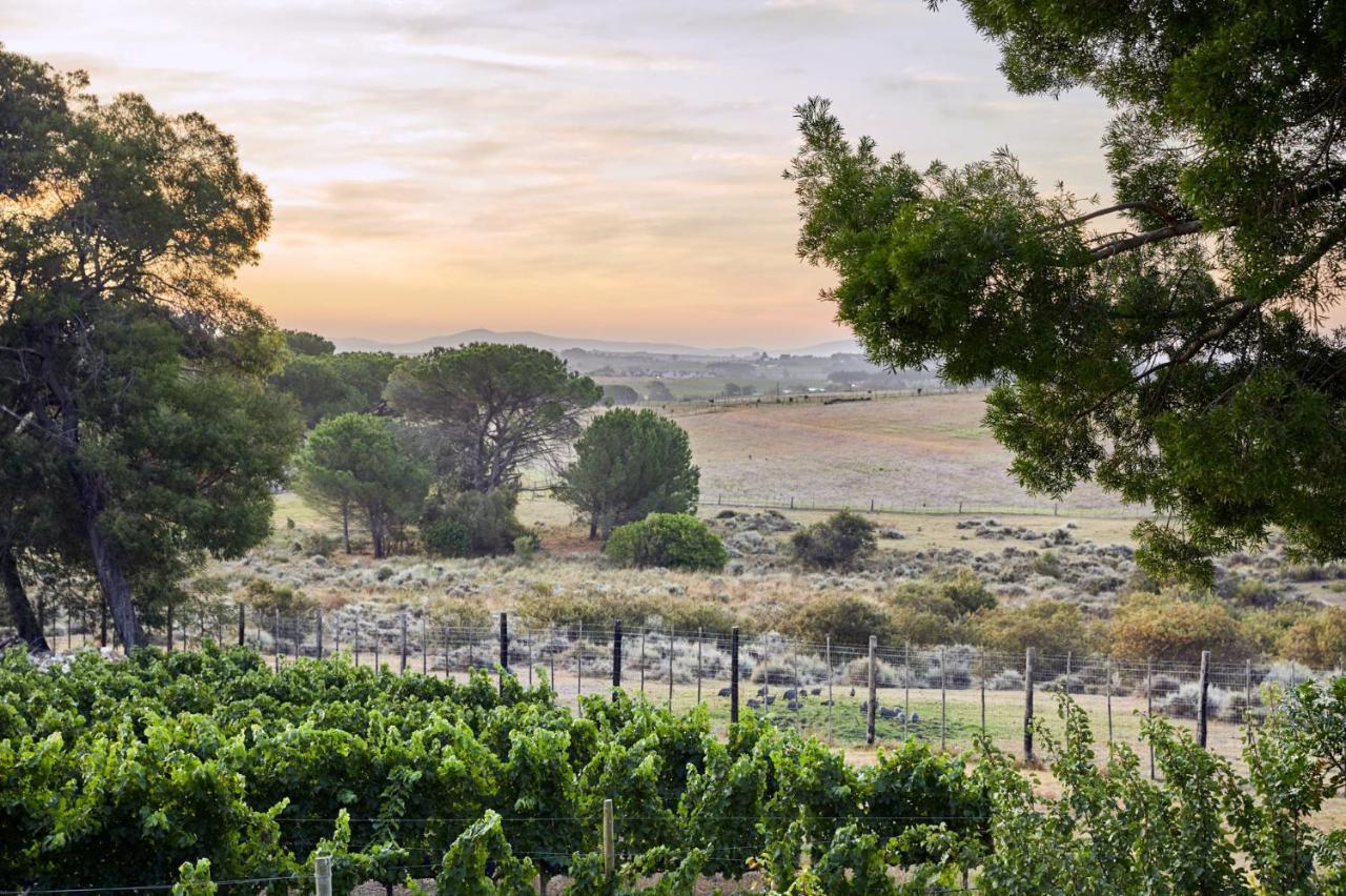 Deux Freres Wine Estate & Luxury Villas Stellenbosch Exteriér fotografie