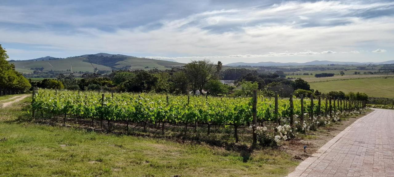 Deux Freres Wine Estate & Luxury Villas Stellenbosch Exteriér fotografie