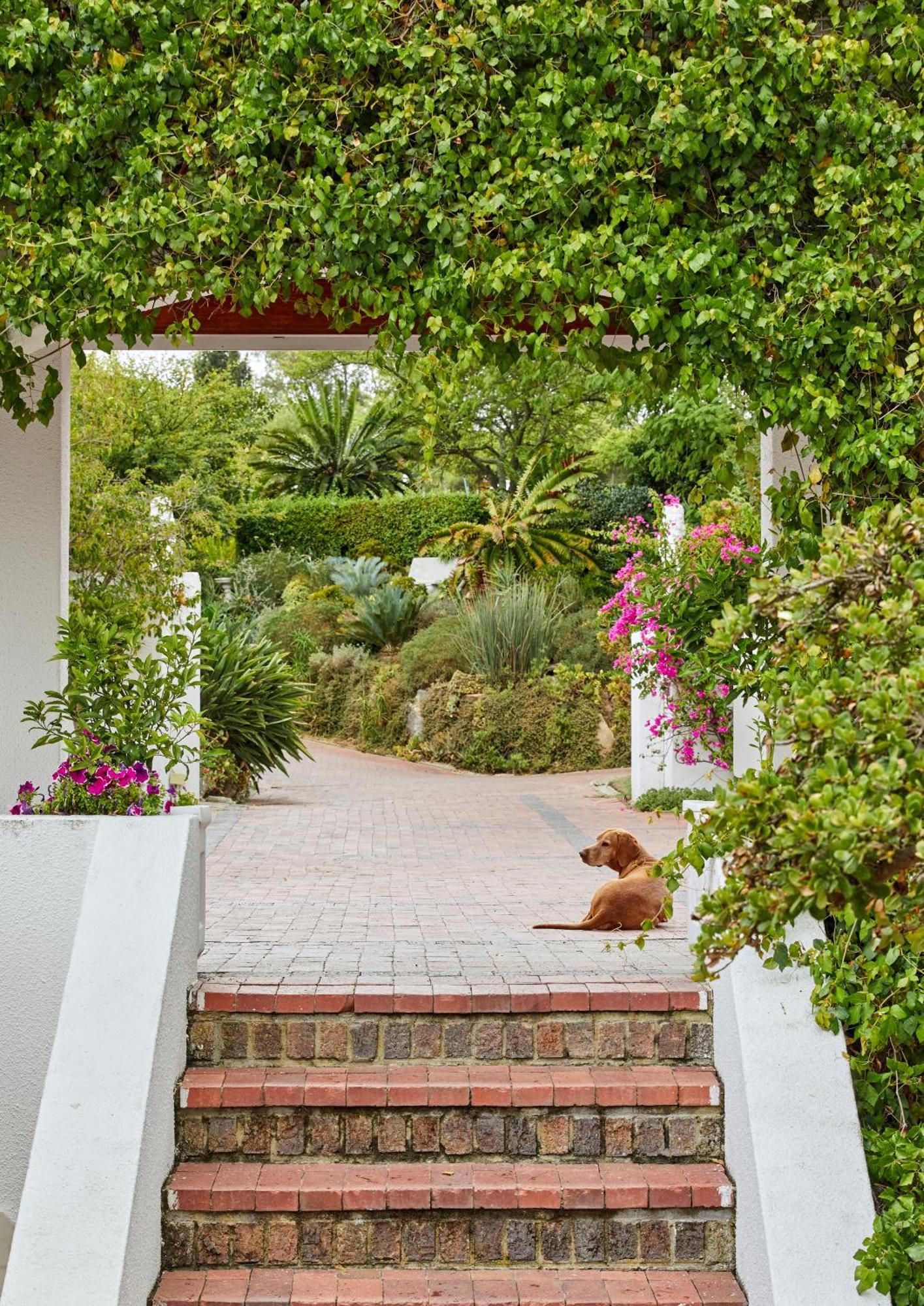 Deux Freres Wine Estate & Luxury Villas Stellenbosch Exteriér fotografie